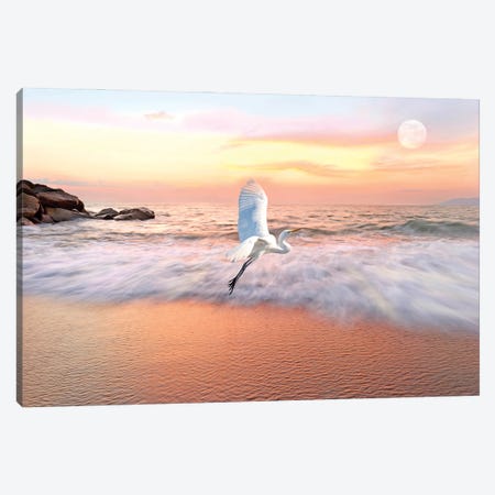 Great White Egret And Ocean Coast At Daybreak Canvas Print #LDY117} by Laura D Young Canvas Art