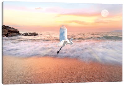 Great White Egret And Ocean Coast At Daybreak Canvas Art Print - Heron Art