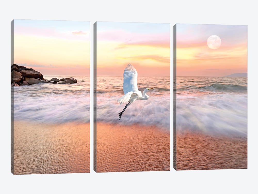 Great White Egret And Ocean Coast At Daybreak by Laura D Young 3-piece Art Print