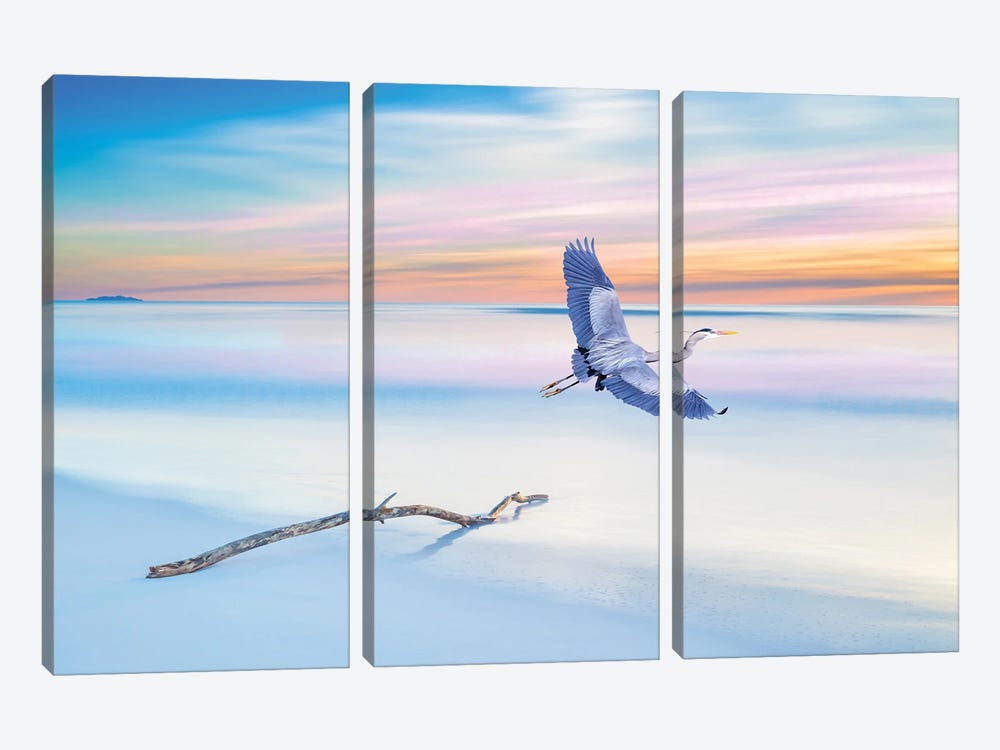 Great Blue Heron Just Before Sunset by Laura D Young 3-piece Canvas Art