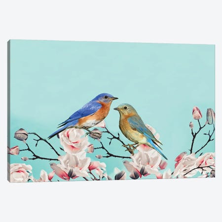 Bluebirds In Magnolia Tree Canvas Print #LDY119} by Laura D Young Canvas Art Print