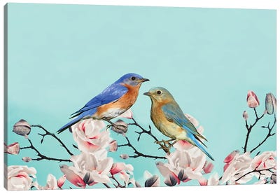 Bluebirds In Magnolia Tree Canvas Art Print - Laura D Young