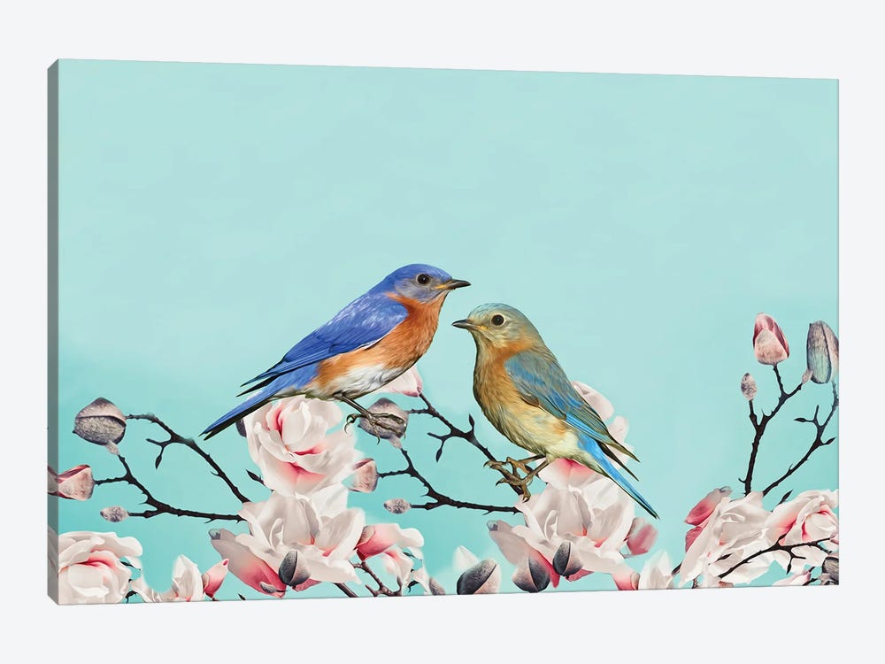 Bluebirds In Magnolia Tree by Laura D Young 1-piece Canvas Print