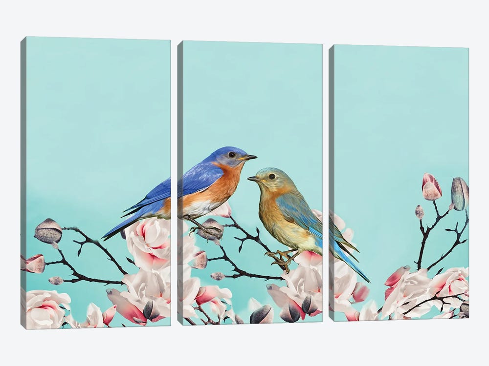Bluebirds In Magnolia Tree by Laura D Young 3-piece Canvas Print