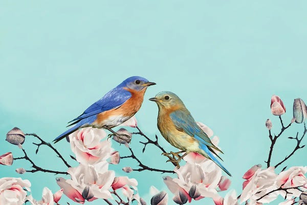 Laura D Young: Bluebirds In Magnolia Tree by Laura D Young