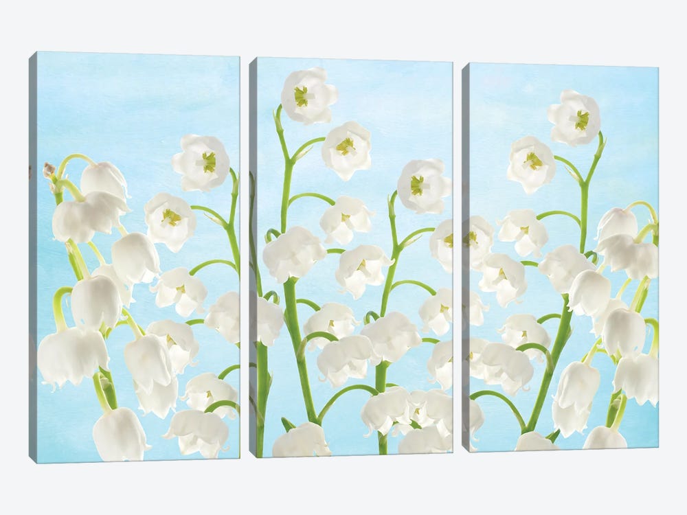Lily Of The Valley Flowers by Laura D Young 3-piece Canvas Wall Art
