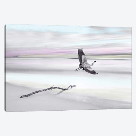 Great Blue Heron At Ocean Beach with Spot Color Canvas Print #LDY123} by Laura D Young Canvas Wall Art