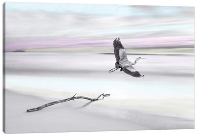 Great Blue Heron At Ocean Beach with Spot Color Canvas Art Print - Heron Art