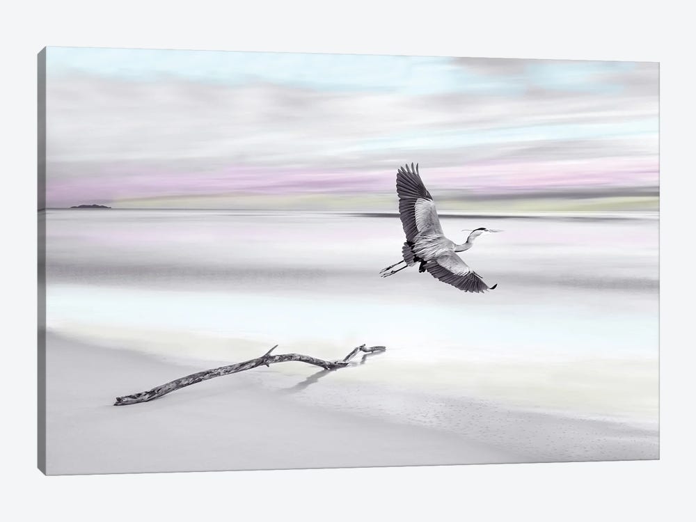 Great Blue Heron At Ocean Beach with Spot Color by Laura D Young 1-piece Canvas Wall Art