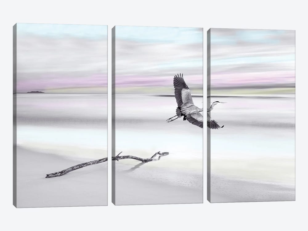 Great Blue Heron At Ocean Beach with Spot Color by Laura D Young 3-piece Canvas Artwork