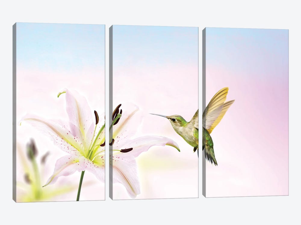 Hummingbird And Lily Flower by Laura D Young 3-piece Canvas Art