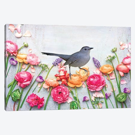 Gray Catbird In The Flower Garden Canvas Print #LDY126} by Laura D Young Art Print