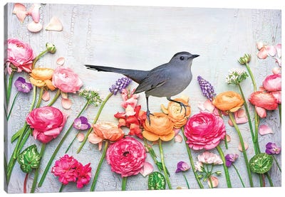 Gray Catbird In The Flower Garden Canvas Art Print - Laura D Young