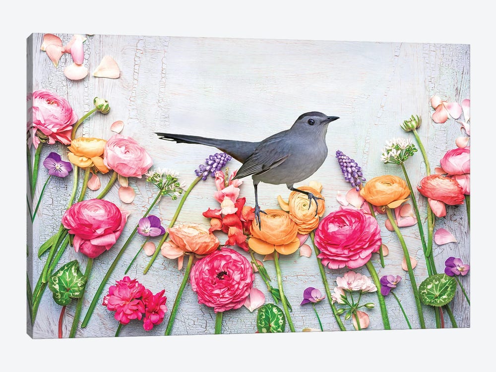 Gray Catbird In The Flower Garden by Laura D Young 1-piece Art Print