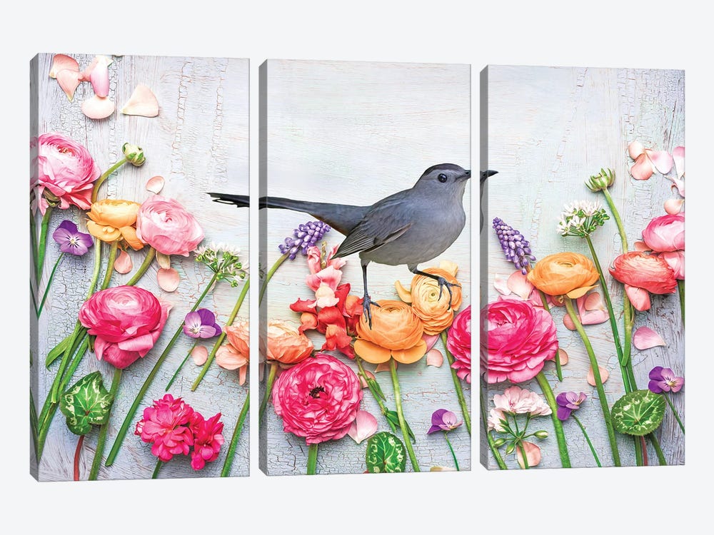 Gray Catbird In The Flower Garden by Laura D Young 3-piece Art Print