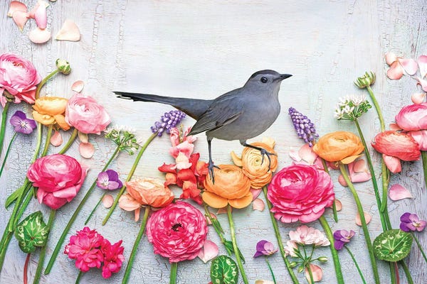 Laura D Young: Gray Catbird In The Flower Garden by Laura D Young
