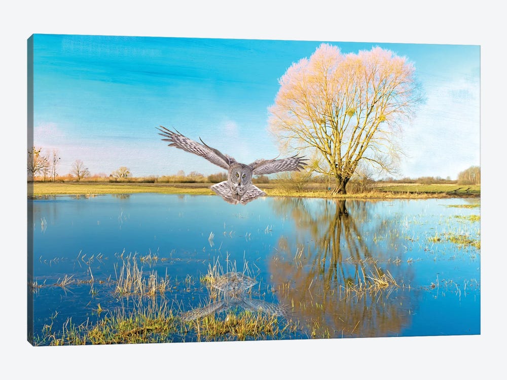 Great Gray Owl In The Blue by Laura D Young 1-piece Canvas Artwork
