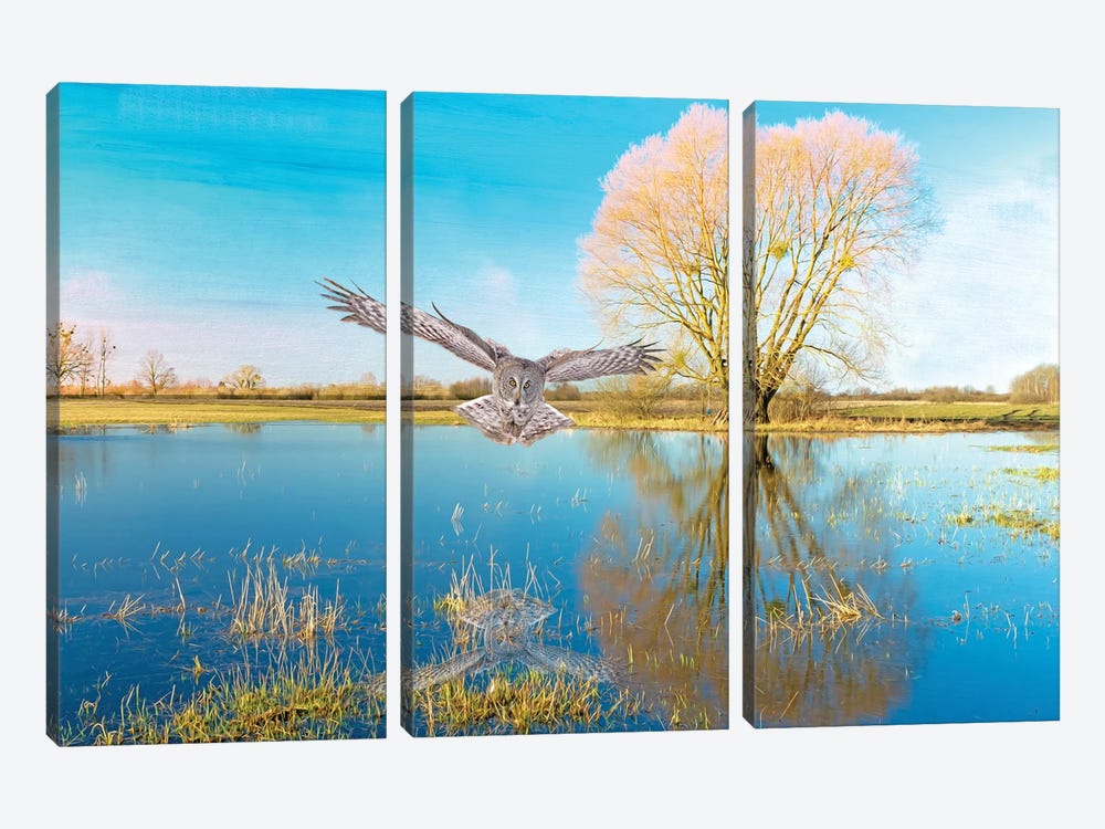 Great Gray Owl In The Blue by Laura D Young 3-piece Canvas Art