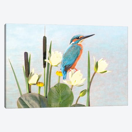 Kingfisher And White Water Lilies Canvas Print #LDY130} by Laura D Young Art Print