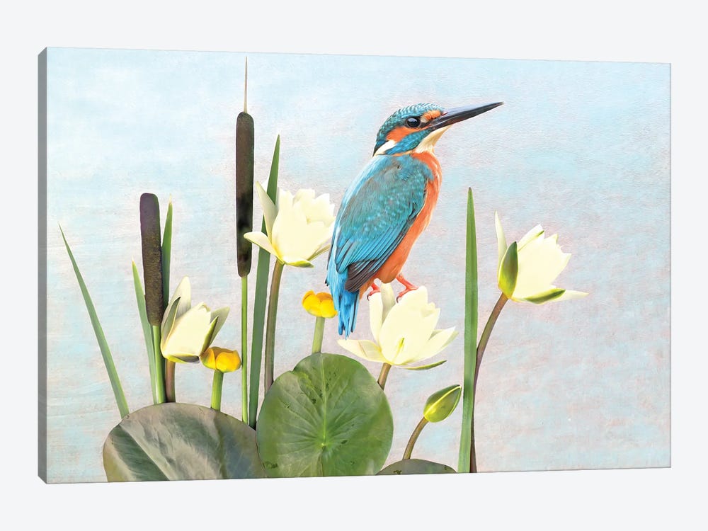 Kingfisher And White Water Lilies by Laura D Young 1-piece Canvas Art