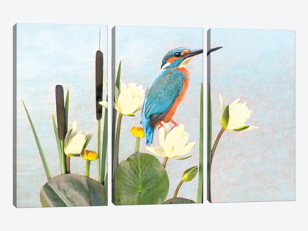 Kingfisher And White Water Lilies by Laura D Young 3-piece Canvas Wall Art