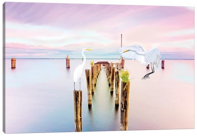 Great White Egrets Meet Over Water Canvas Art Print - Egret Art
