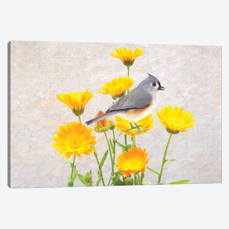 Tufted Titmouse In The Marigold Flower Garden Canvas Print #LDY133} by Laura D Young Art Print