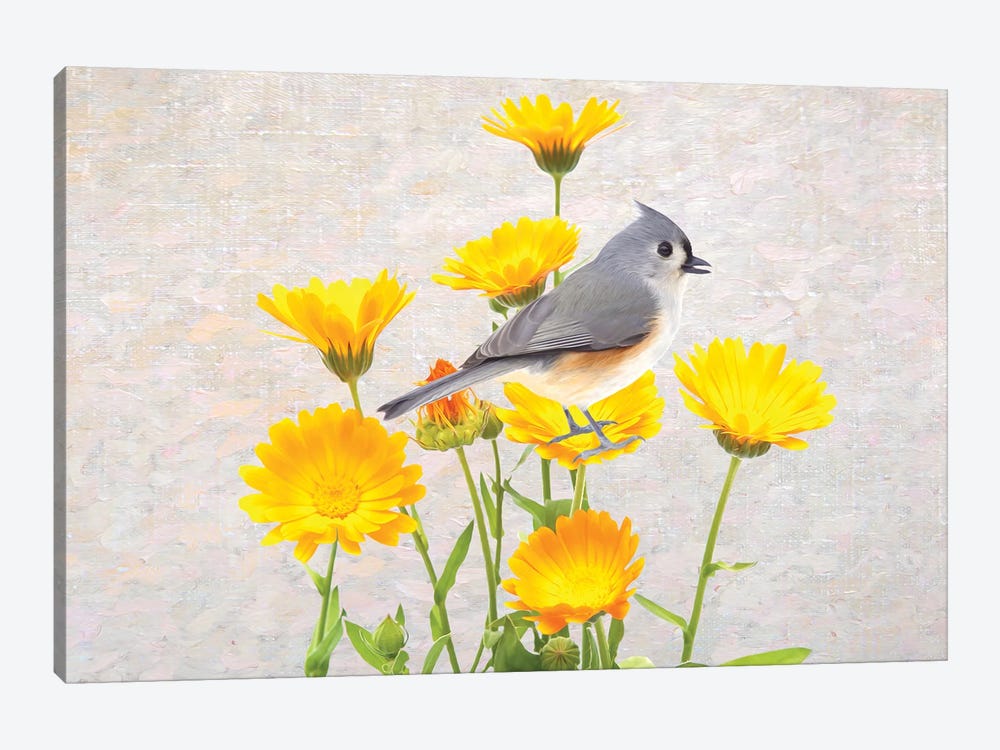 Tufted Titmouse In The Marigold Flower Garden by Laura D Young 1-piece Art Print