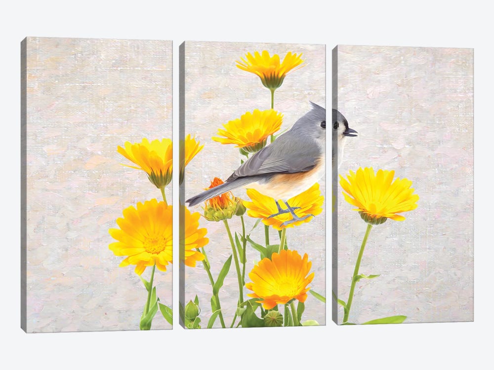 Tufted Titmouse In The Marigold Flower Garden by Laura D Young 3-piece Art Print