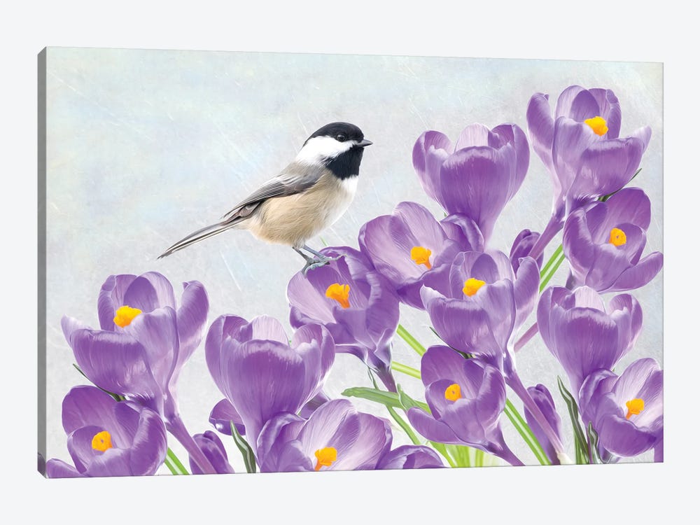 Carolina Chickadee And Purple Crocus by Laura D Young 1-piece Canvas Artwork