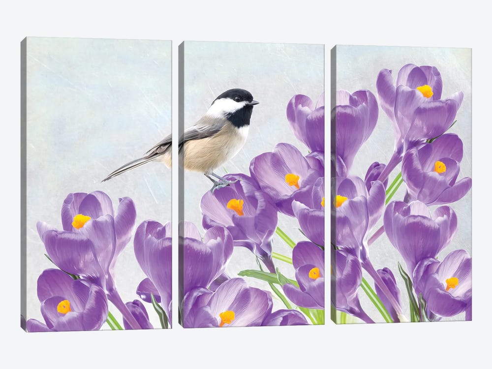 Carolina Chickadee And Purple Crocus by Laura D Young 3-piece Canvas Art