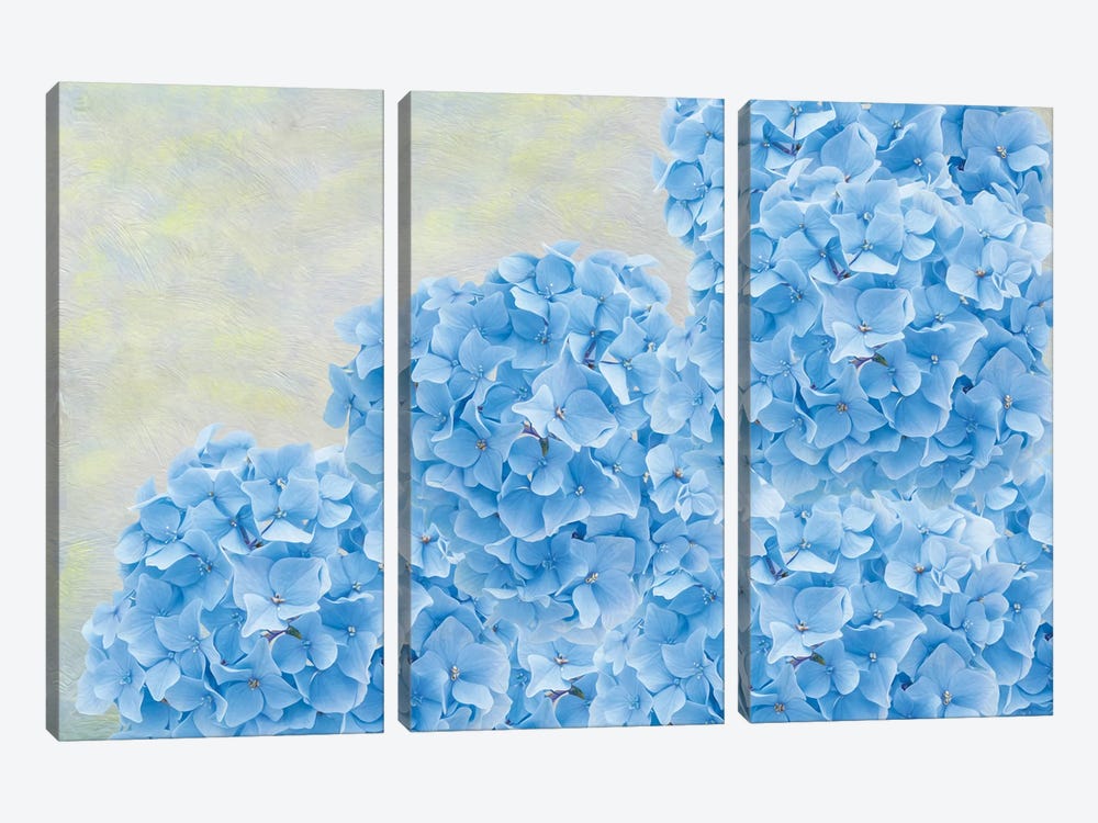 Blue Hydrangea Flowers by Laura D Young 3-piece Canvas Art Print