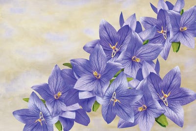 Bellflowers In Blue by Laura D Young art print