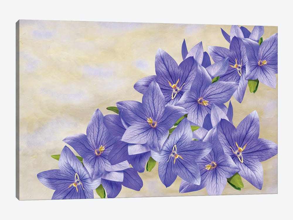 Bellflowers In Blue by Laura D Young 1-piece Canvas Art