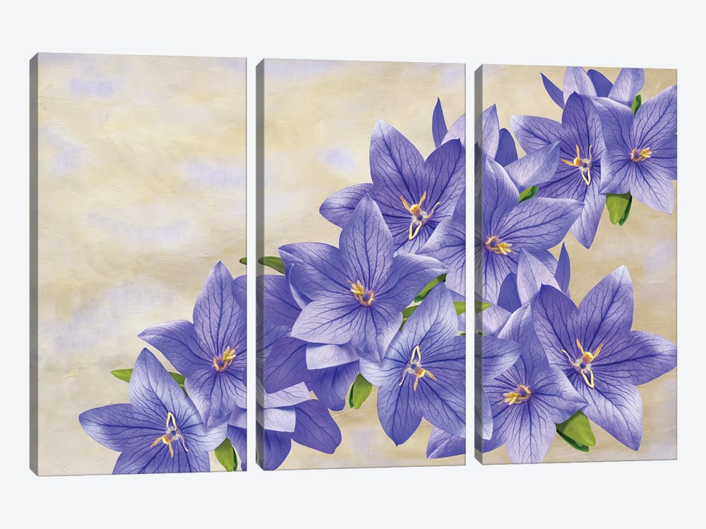 Bellflowers In Blue by Laura D Young 3-piece Canvas Artwork
