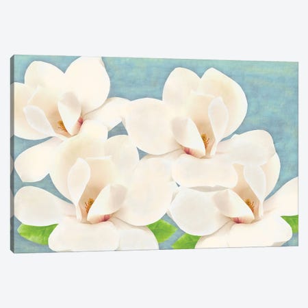 Southern Magnolia Grandiflora Canvas Print #LDY138} by Laura D Young Canvas Print