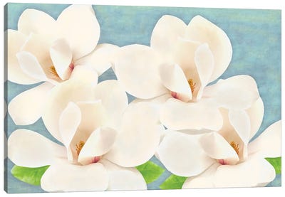 Southern Magnolia Grandiflora Canvas Art Print - Laura D Young