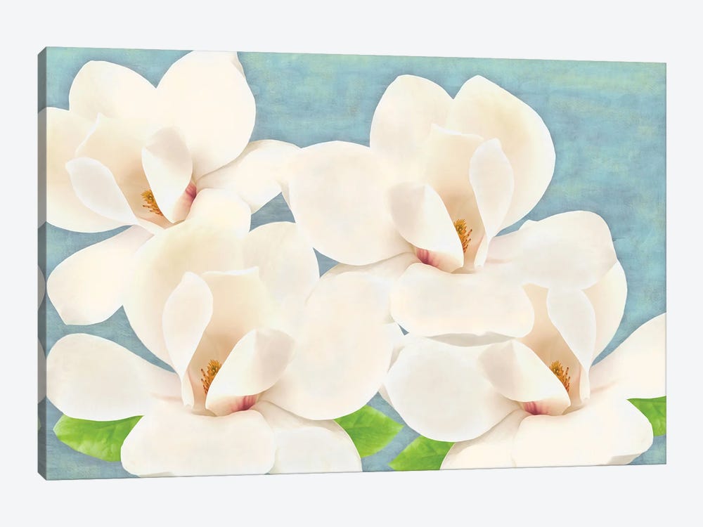 Southern Magnolia Grandiflora by Laura D Young 1-piece Canvas Art