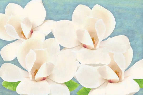 Magnolias: Southern Magnolia Grandiflora by Laura D Young