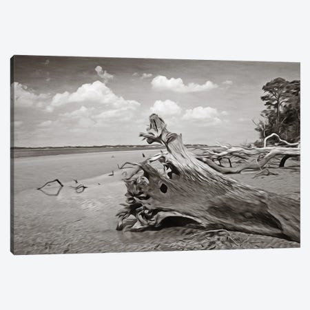 Driftwood Sculptures At Jekyll Island Georgia Canvas Print #LDY139} by Laura D Young Art Print
