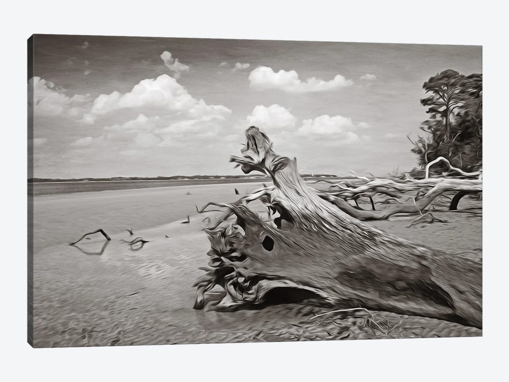 Driftwood Sculptures At Jekyll Island Georgia by Laura D Young 1-piece Canvas Print