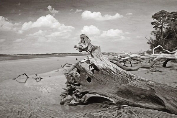 Islands: Driftwood Sculptures At Jekyll Island Georgia by Laura D Young