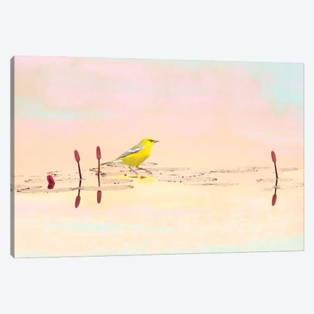 Warbler On Mountain Pond Canvas Print #LDY13} by Laura D Young Canvas Art Print