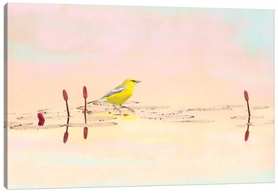 Warbler On Mountain Pond Canvas Art Print - Warbler Art