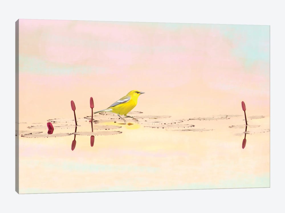 Warbler On Mountain Pond by Laura D Young 1-piece Art Print