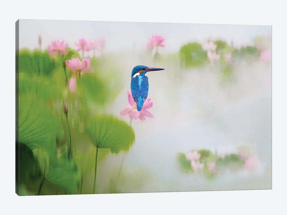 Kingfisher Bird On A Pink Lotus Flower by Laura D Young 1-piece Canvas Wall Art