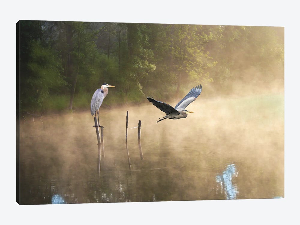 Great Blue Herons At A Mountain Pond by Laura D Young 1-piece Canvas Art