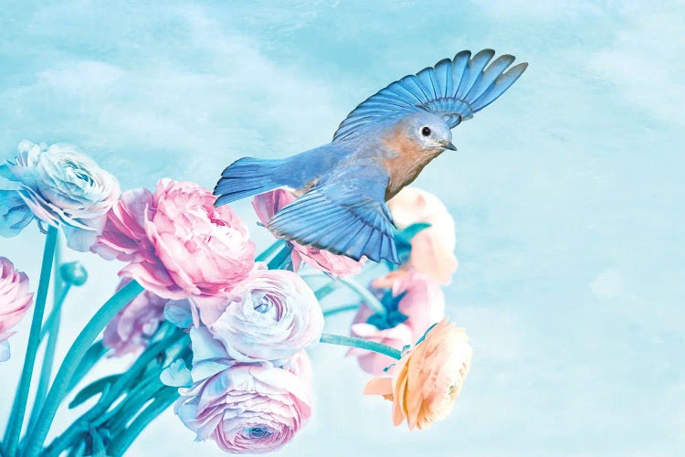 Male Bluebird And Pastel Peonies by Laura D Young wall art