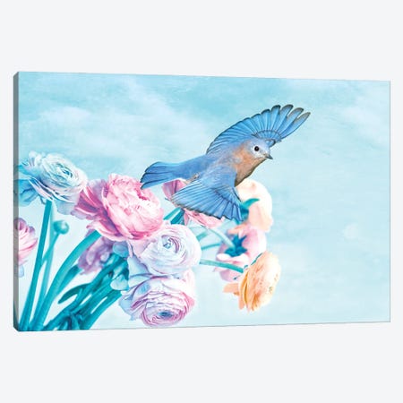 Male Bluebird And Pastel Peonies Canvas Print #LDY14} by Laura D Young Canvas Wall Art