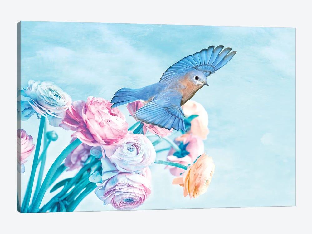Male Bluebird And Pastel Peonies by Laura D Young 1-piece Canvas Art